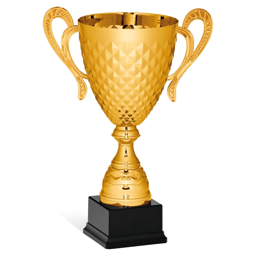 CAPPA SPORTIVA 96149 (D)